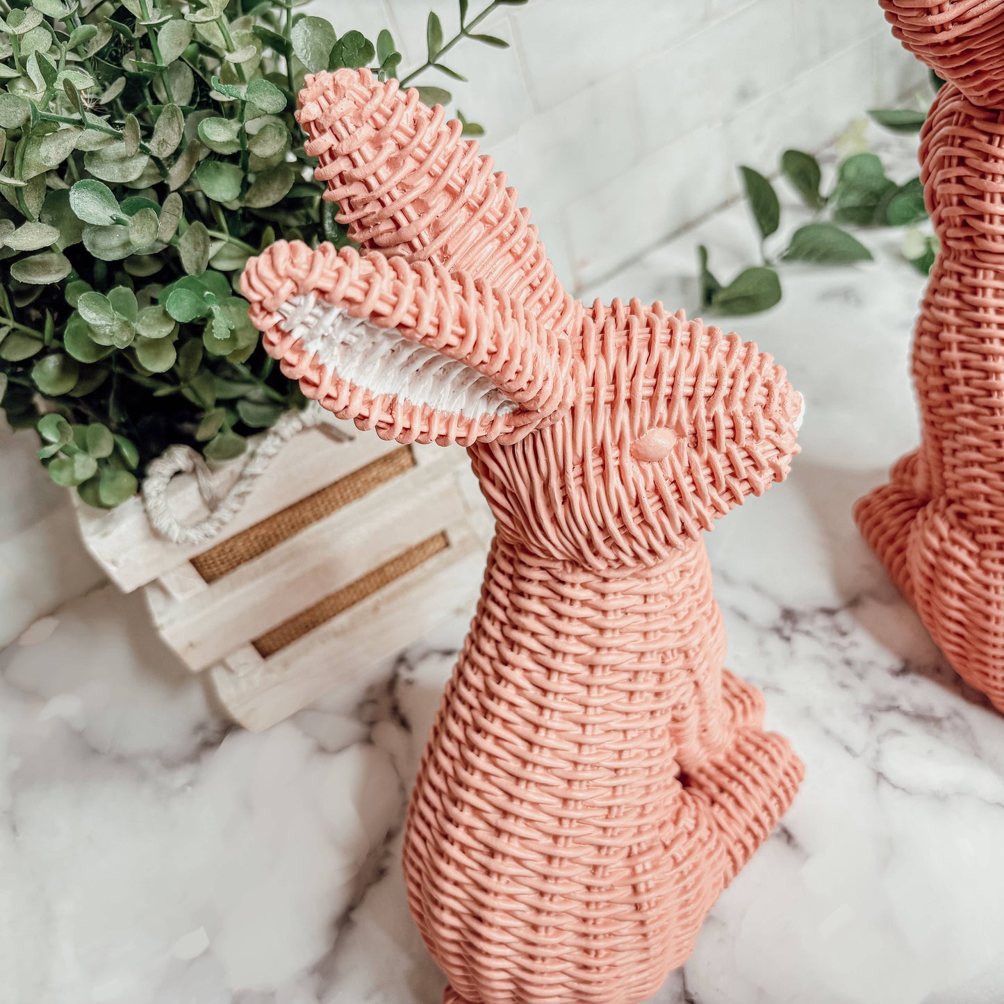 Rattan Rabbits