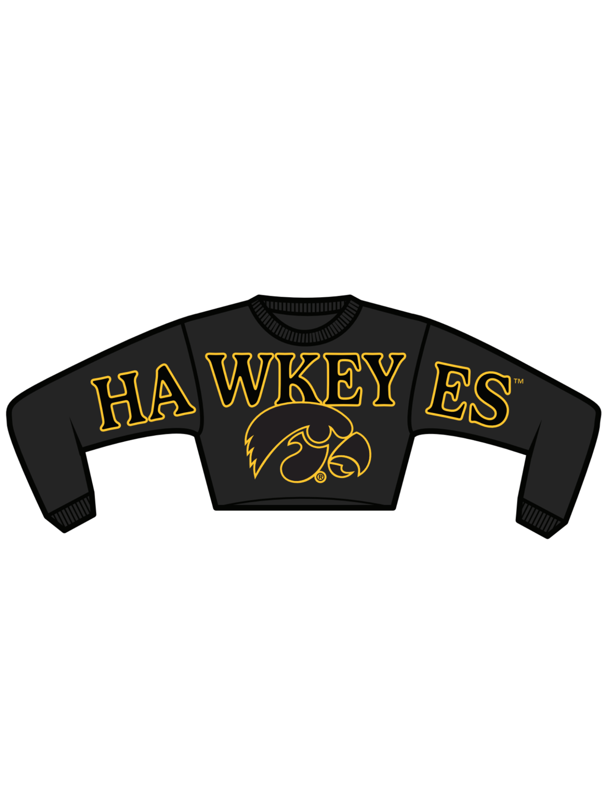The Stadium Sequin Crewneck | Iowa