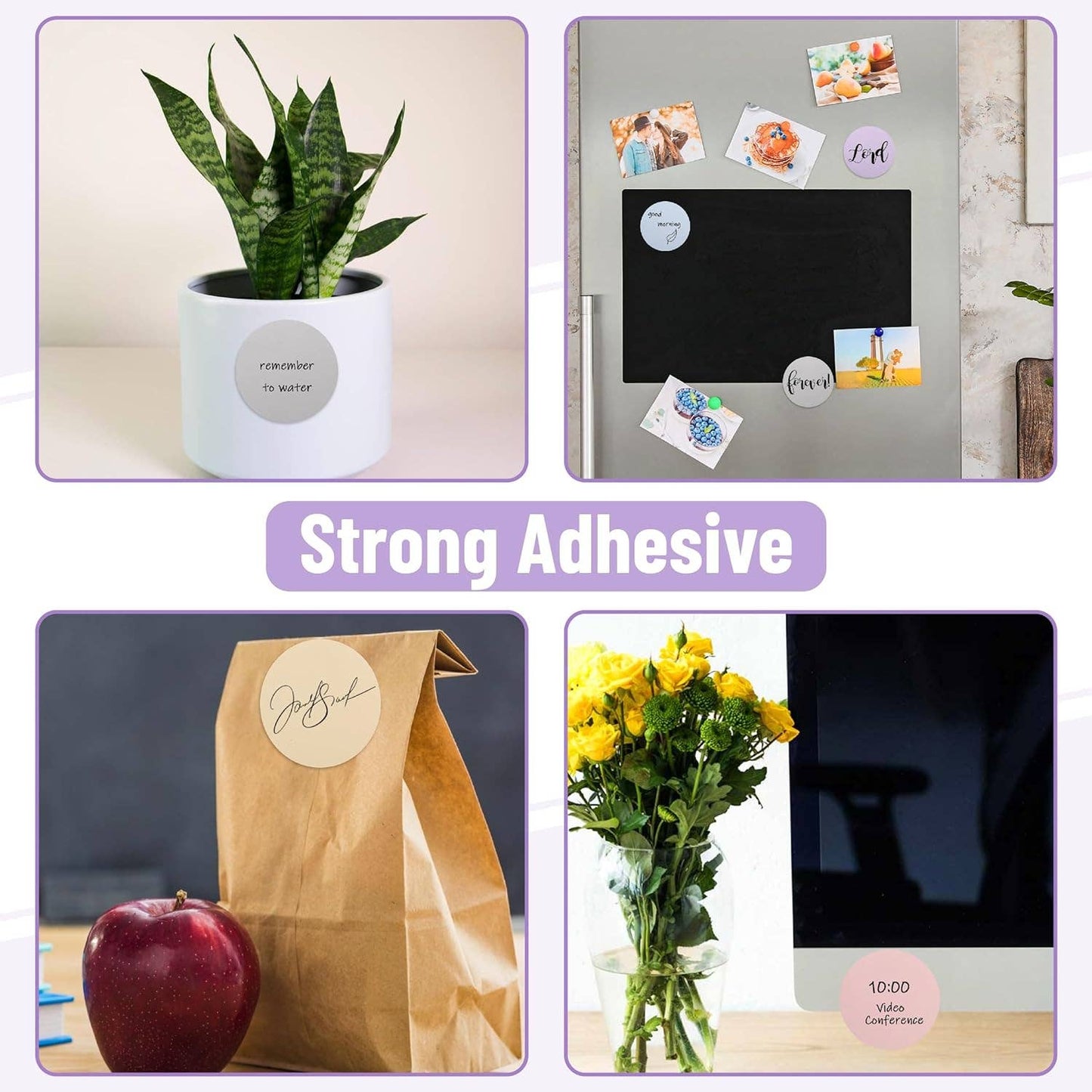 Round Sticky Notes - 12 Pack