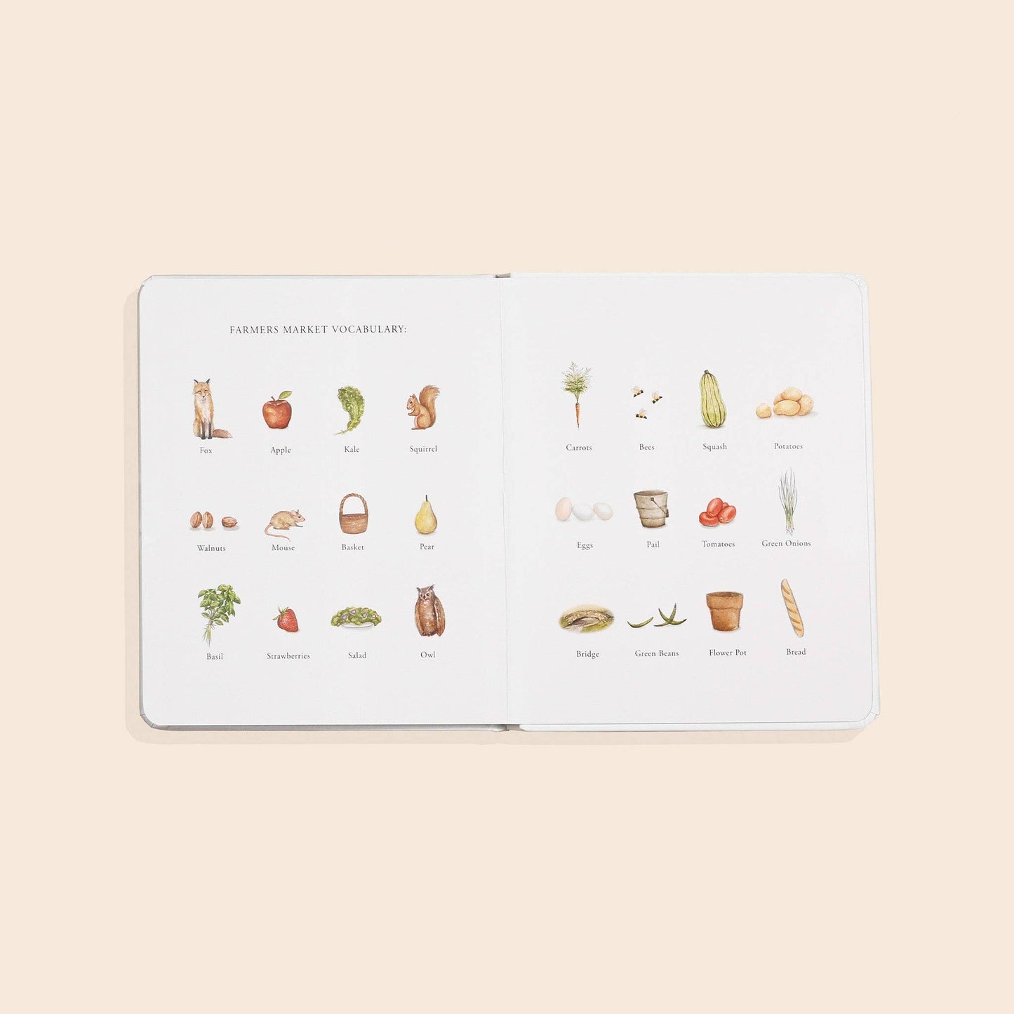 Our Little Adventure to the Farmers Market - Book