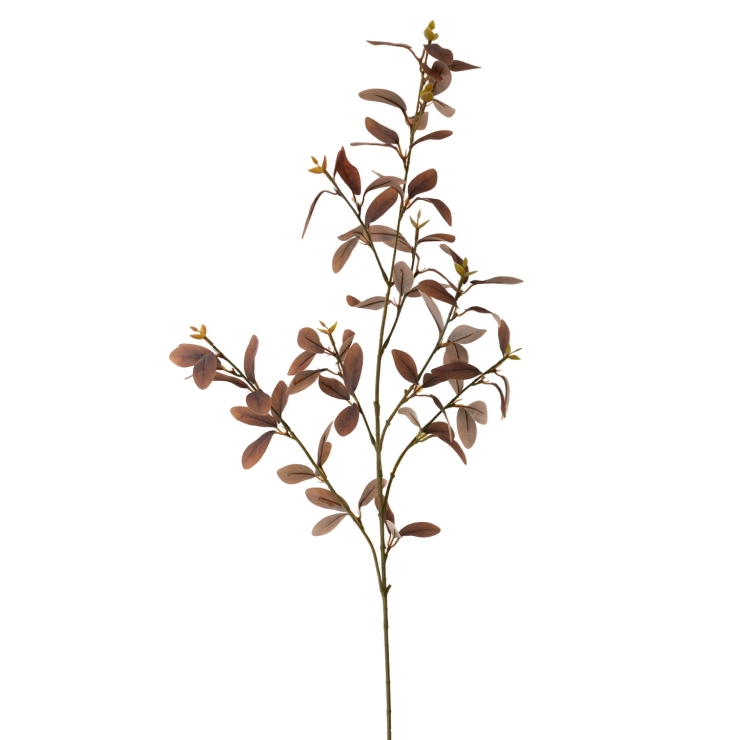 FS106 Cuckoo Leaf 34" PK 12