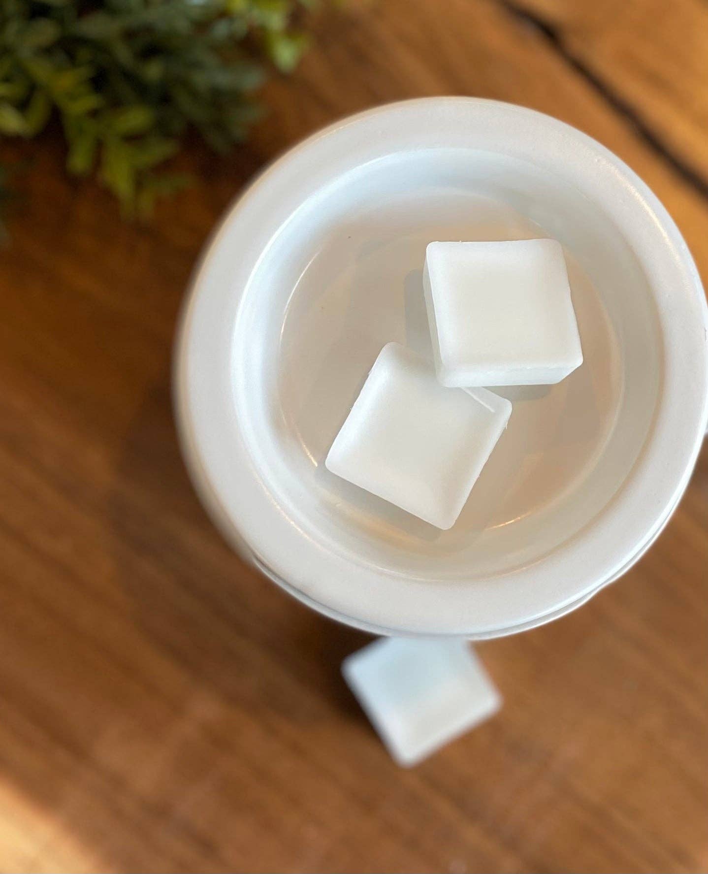 Sea Salt + Coconut Water Melts