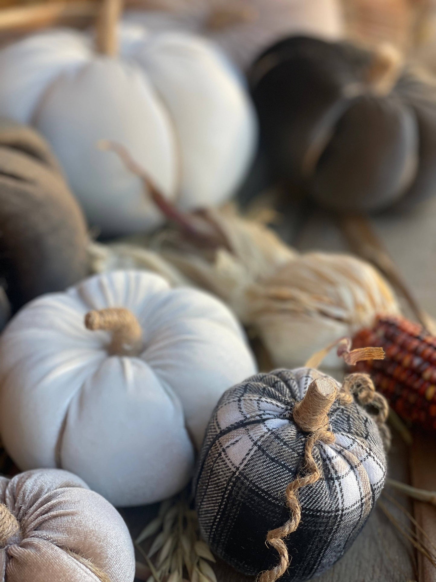 CF-3173 - XL Cream Velvet Fall Pumpkin
