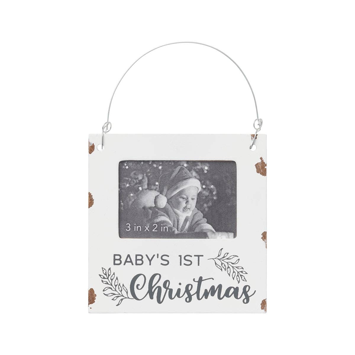 Baby Chippy Christmas Photo Ornie