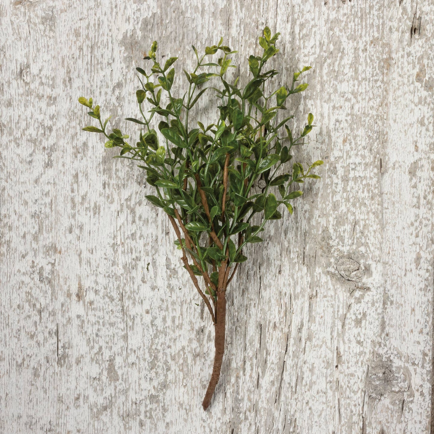 Boxwood Floral Pick