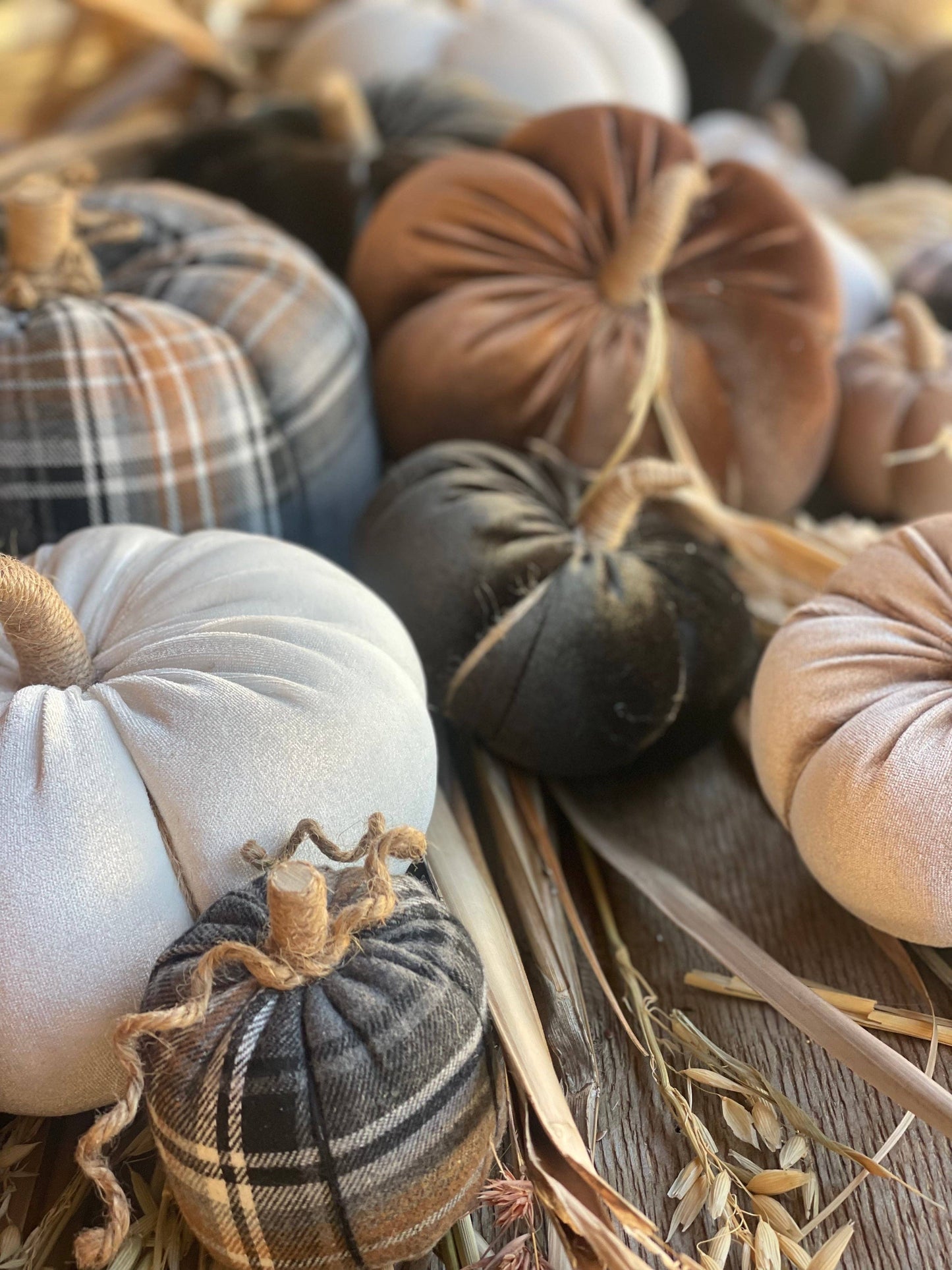 CF-3173 - XL Cream Velvet Fall Pumpkin