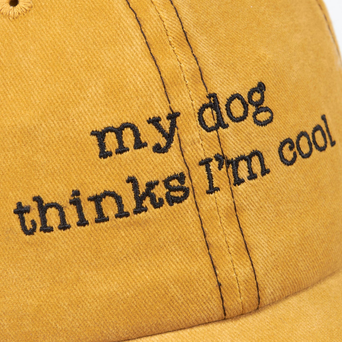 My Dog Thinks I'm Cool Baseball Cap