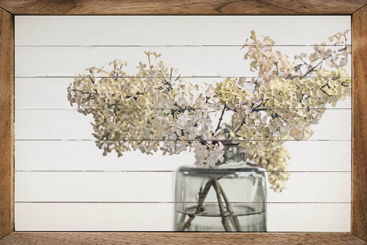 Golden Hydrangeas White