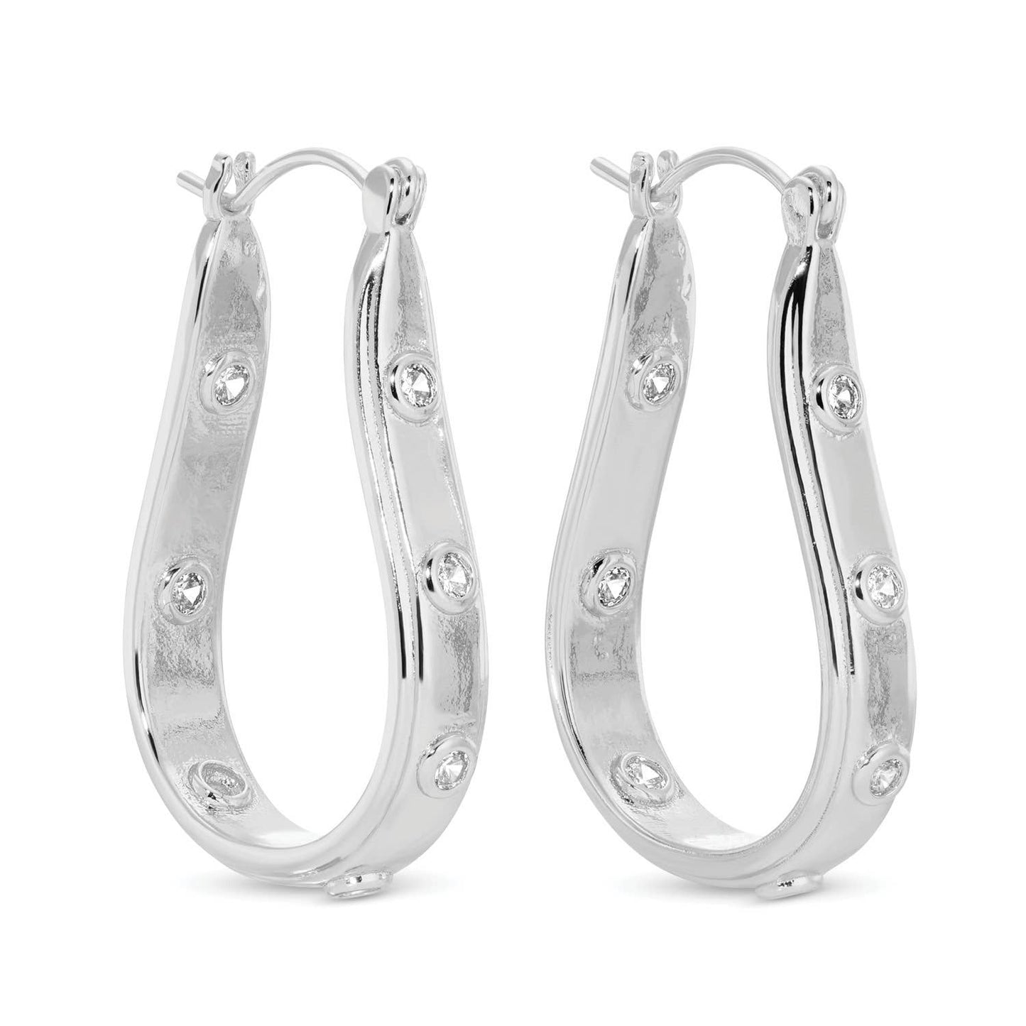 Oblong Latchback Earrings