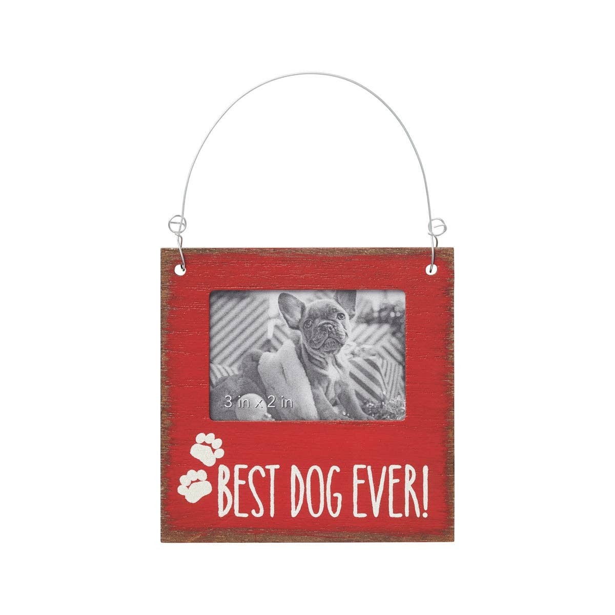 Best Dog Christmas Photo Ornie