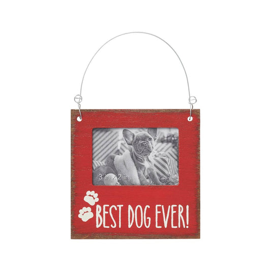 Best Dog Christmas Photo Ornie