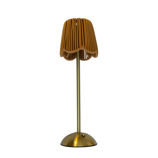 Rattan USB Lamp