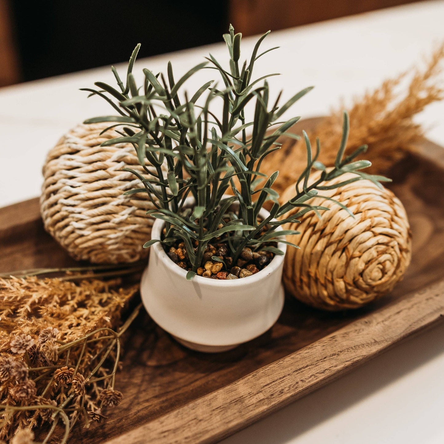 Rosemary Bonsai