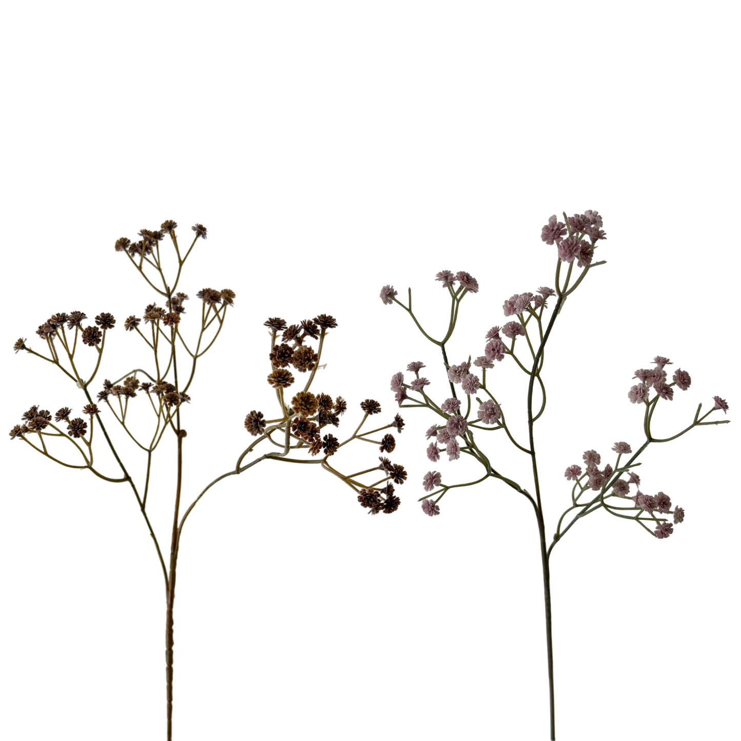 FS130 Babys breath 24" PK 24