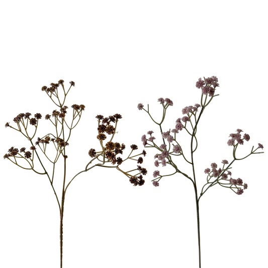 FS130 Babys breath 24" PK 24