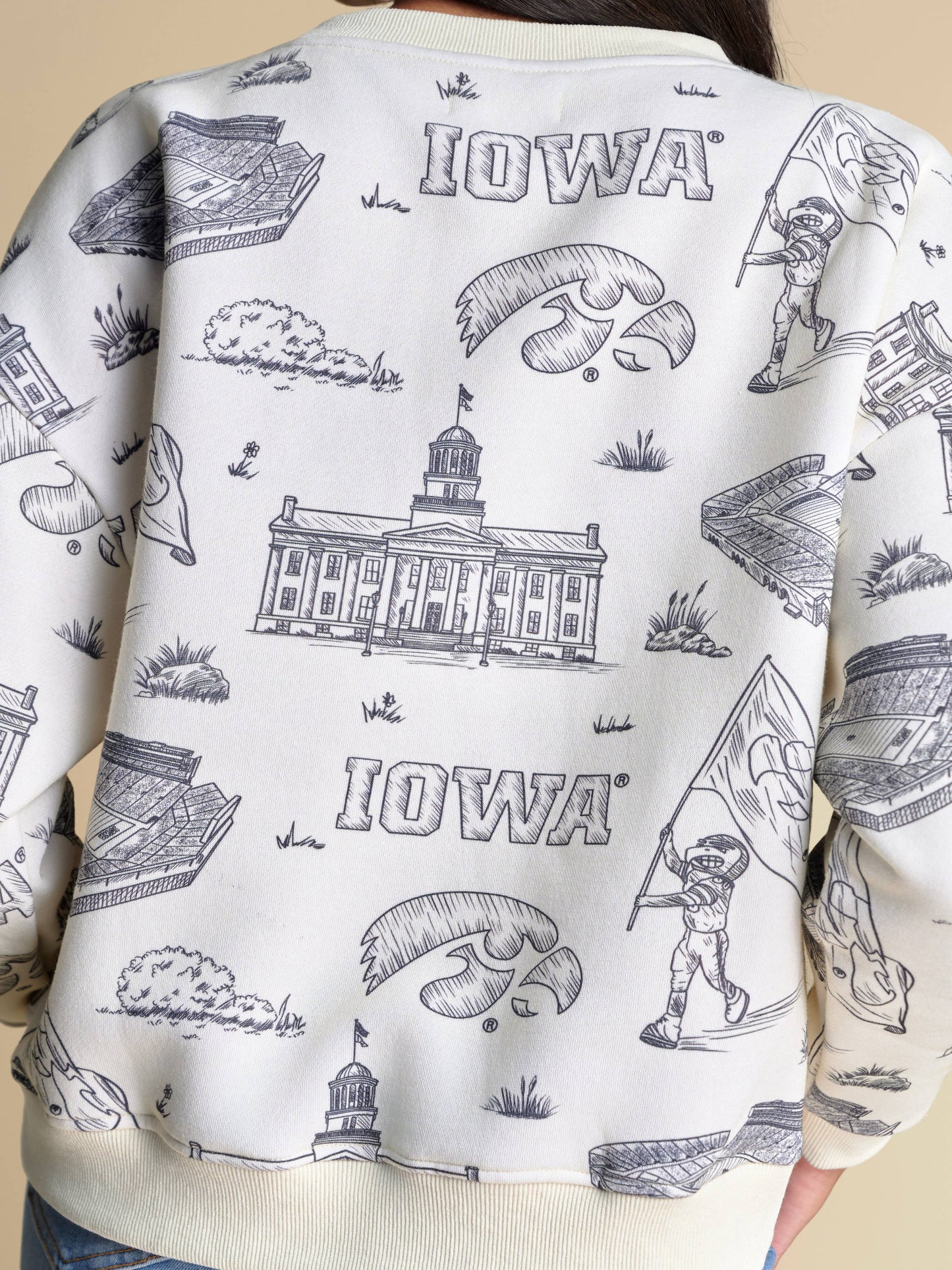 The Team Toile Pullover | Iowa