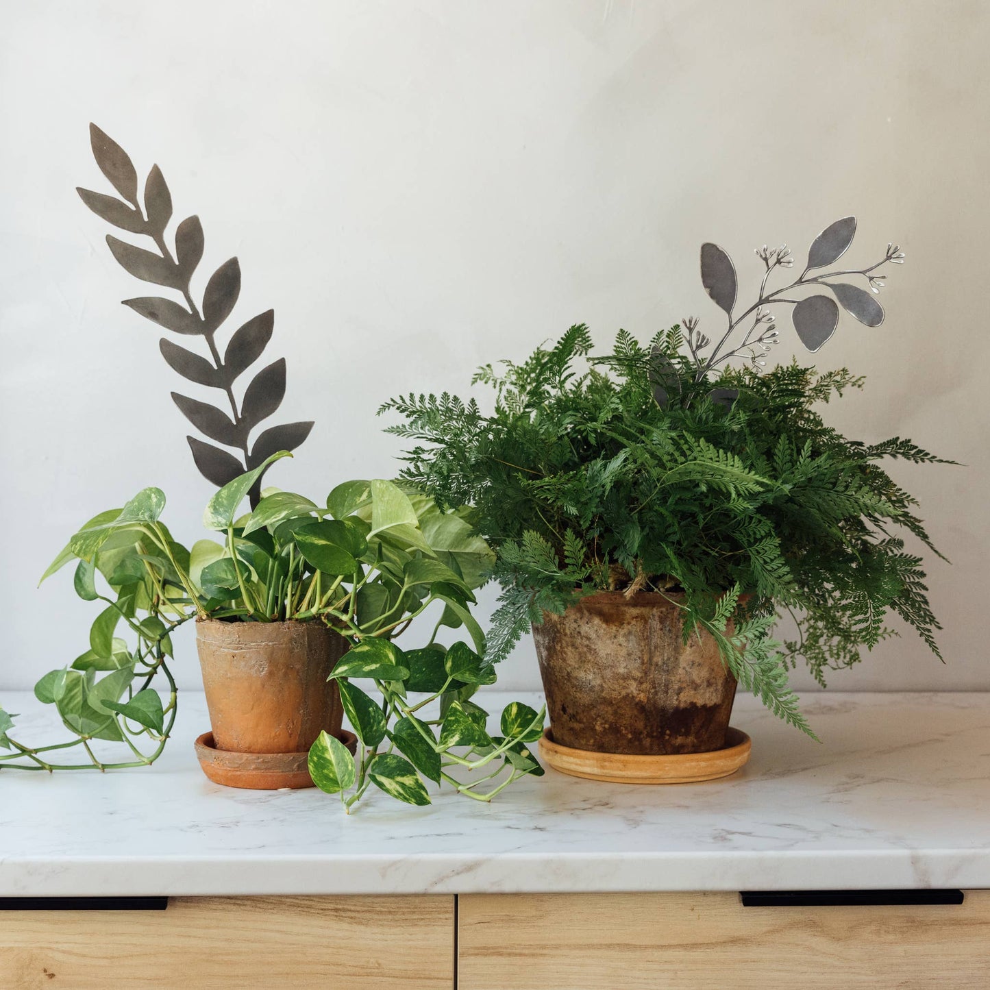 Raw Steel Botanical Stems