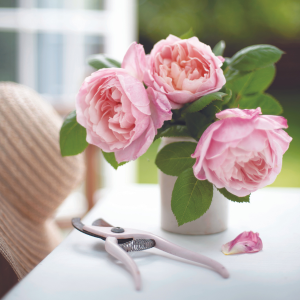 White and Faded: Restoring Beauty in Your Home and Life