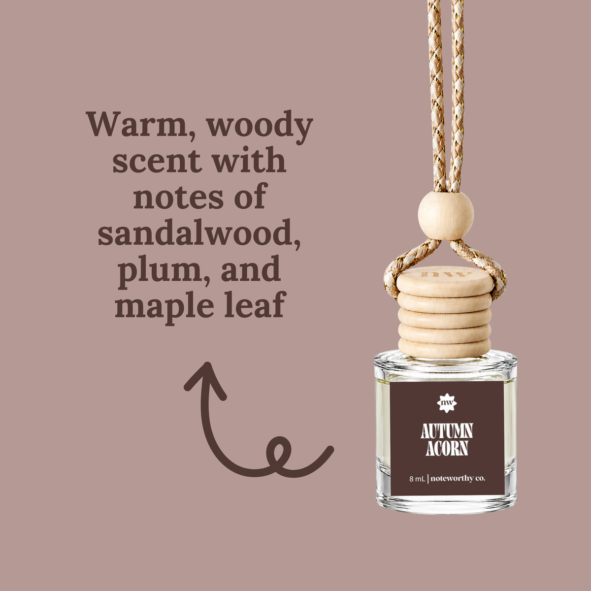 Car Diffusers | Fall Scents (NEW 2026)