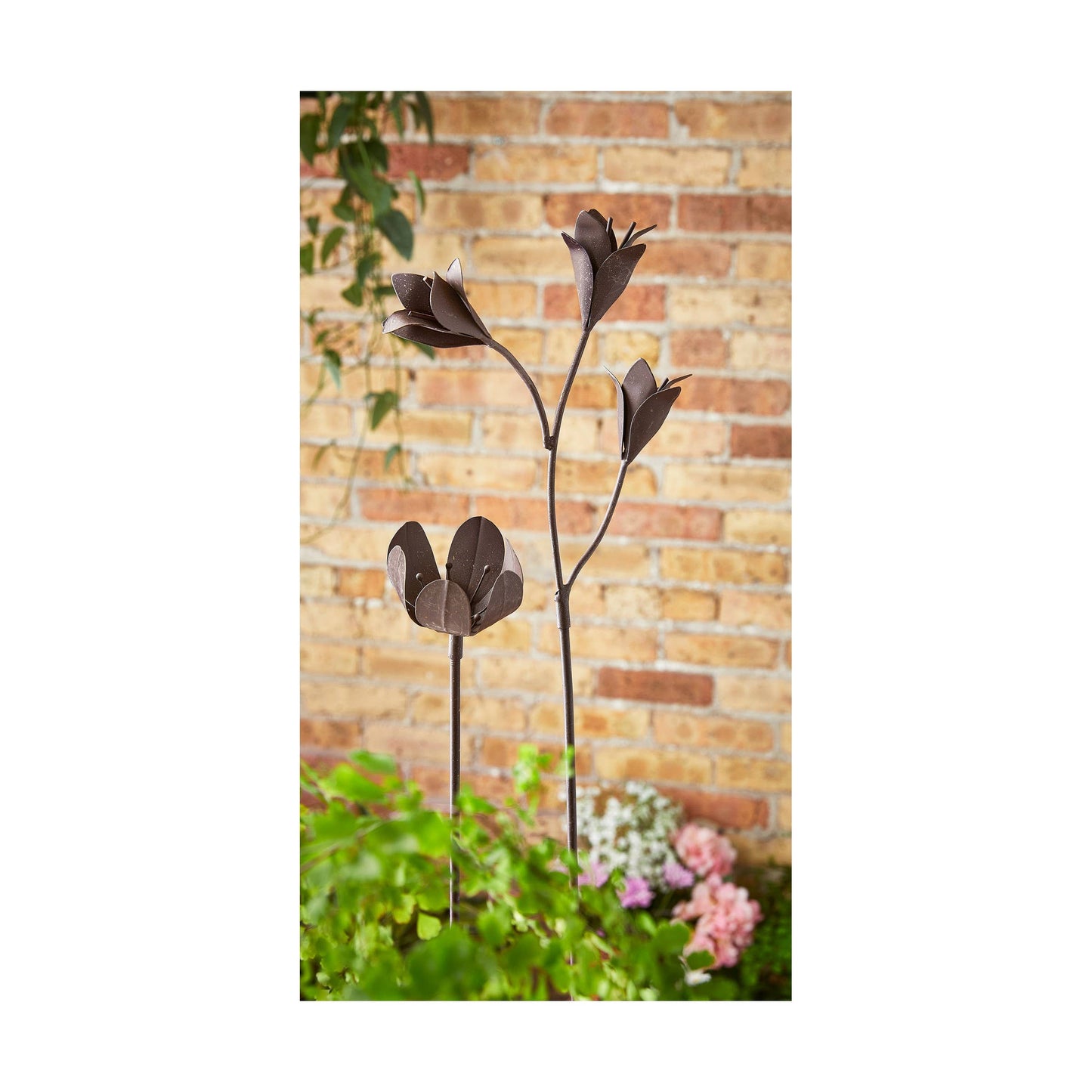 Rusty Tulip Stem