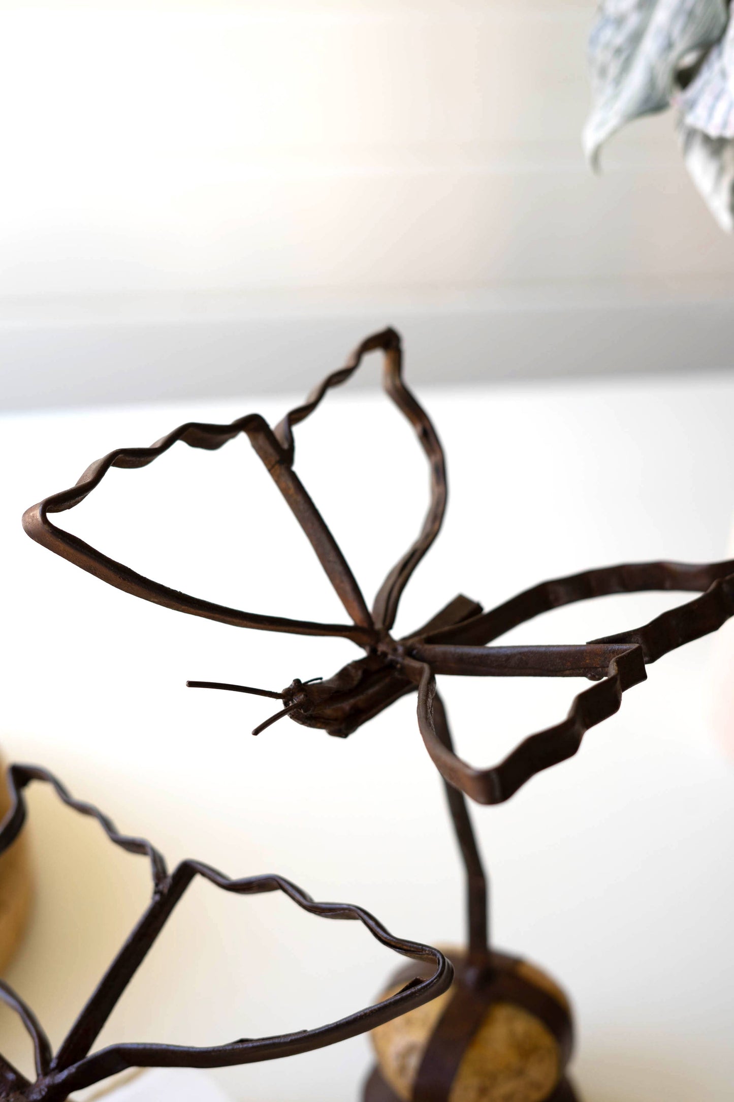 Clara Caged Butterflies
