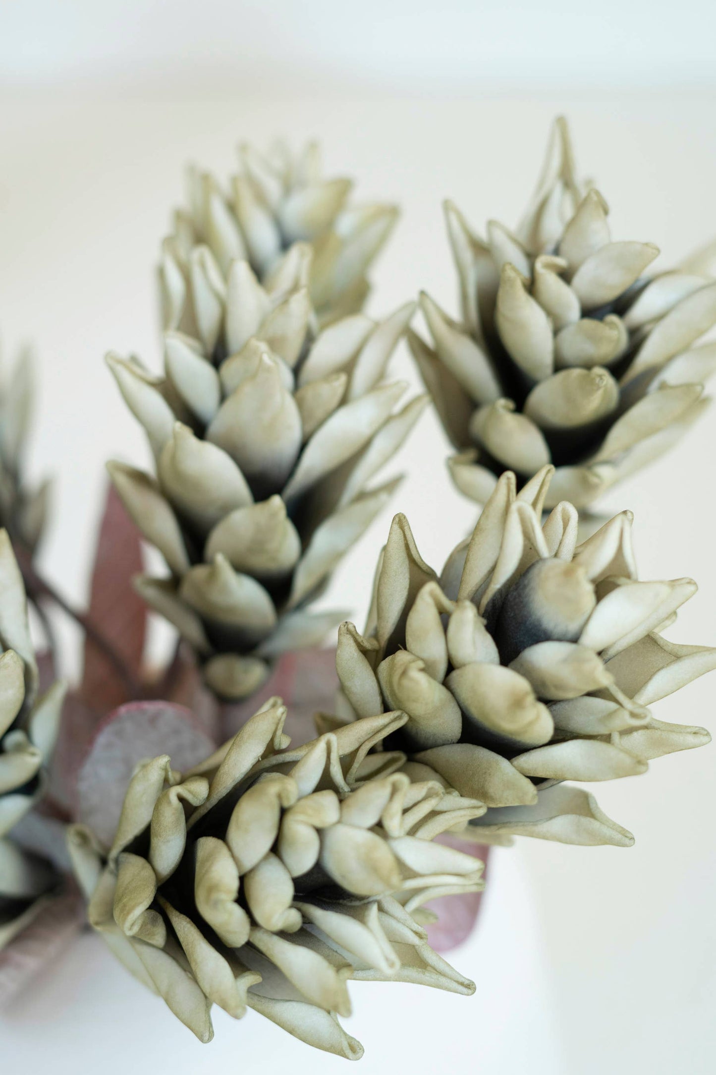 Green Artichoke Stems