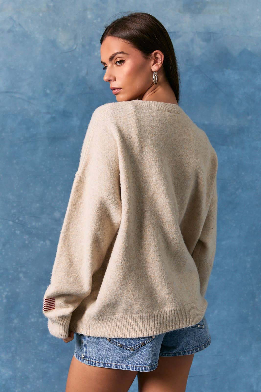Banners Waving Sweater