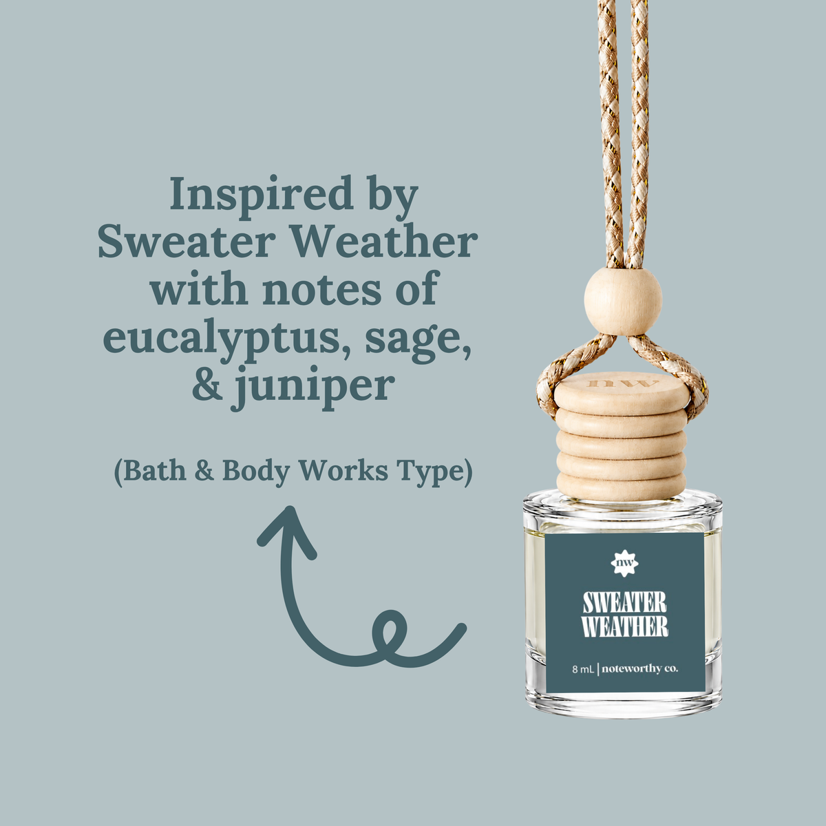 Car Diffusers | Fall Scents (NEW 2026)