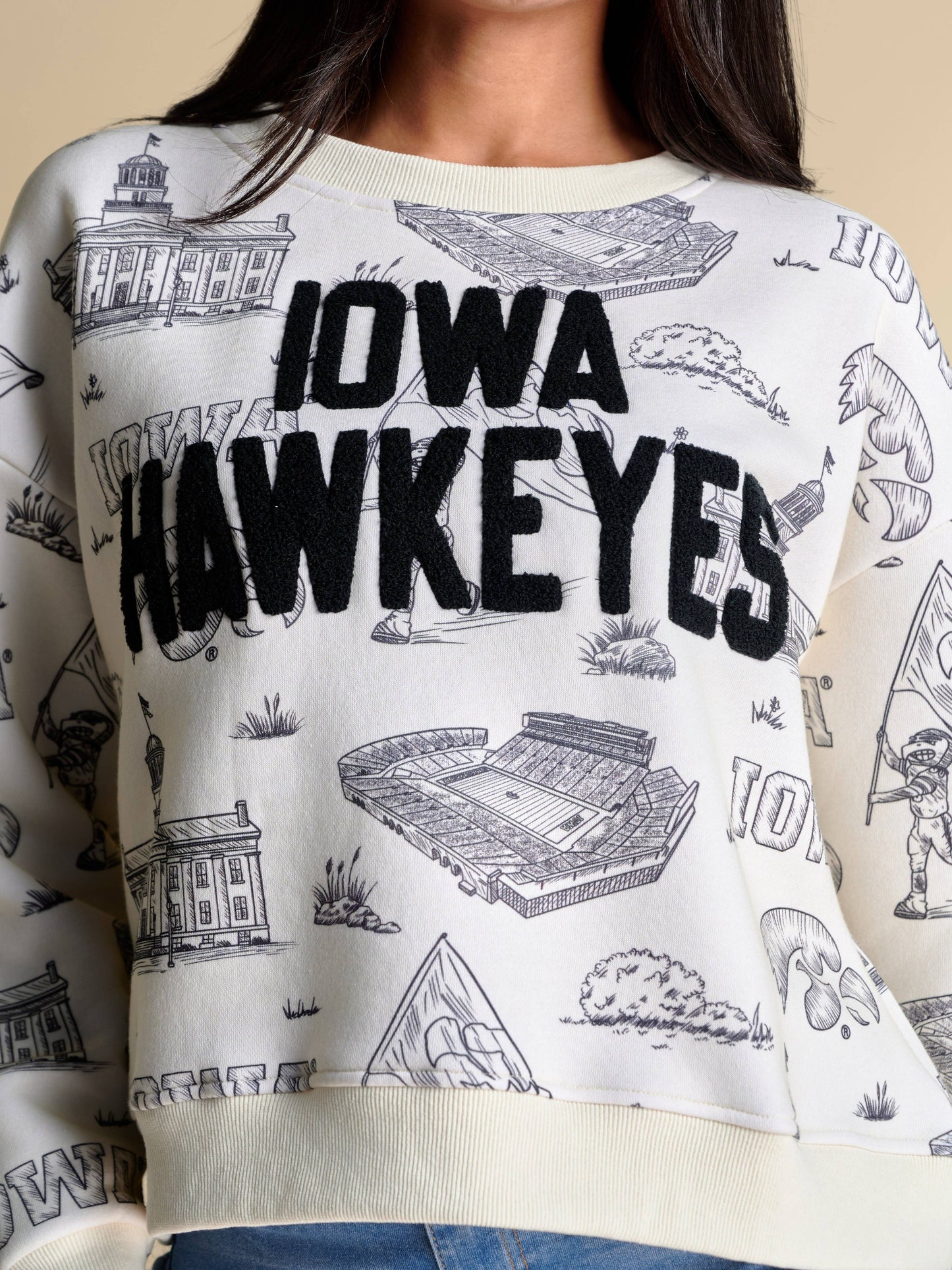 The Team Toile Pullover | Iowa