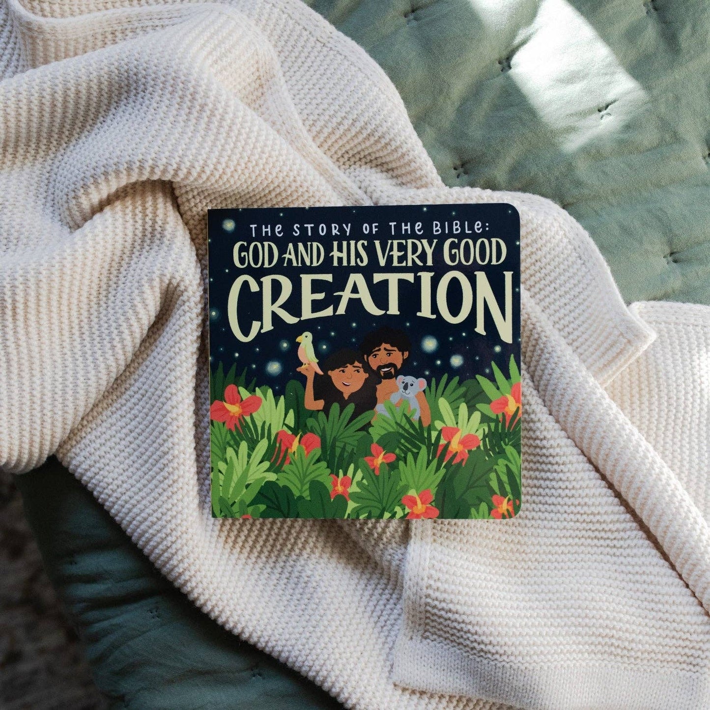 God and His Very Good Creation: Board Book