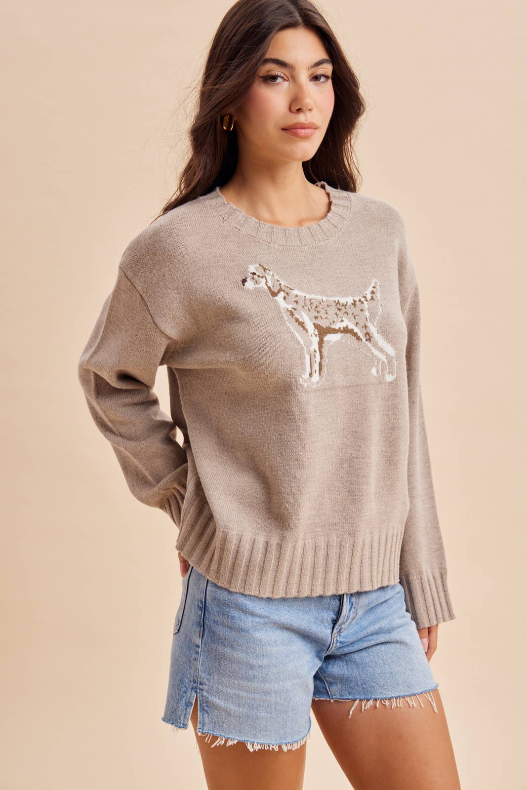 KNITTED INTARSIA DOG MOTIF SWEATER