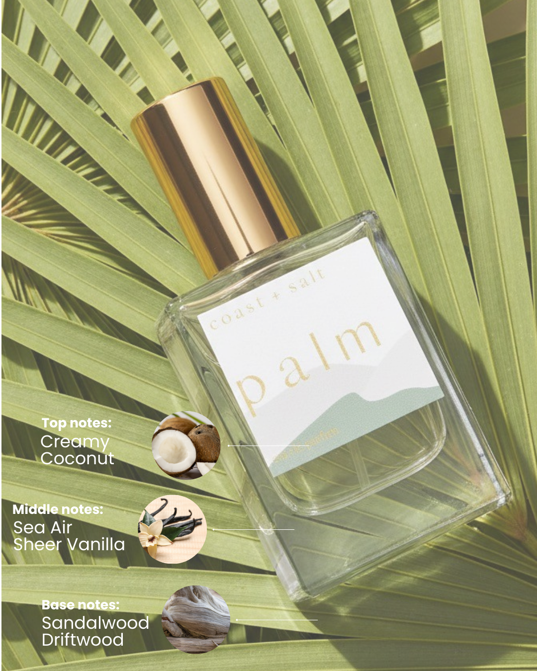 Palm Perfume Roller