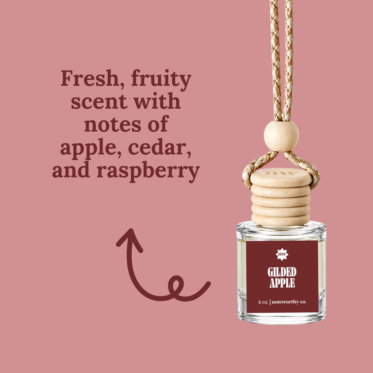 Car Diffusers | Fall Scents (NEW 2026)