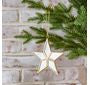 Mirror Hanging Star Orn