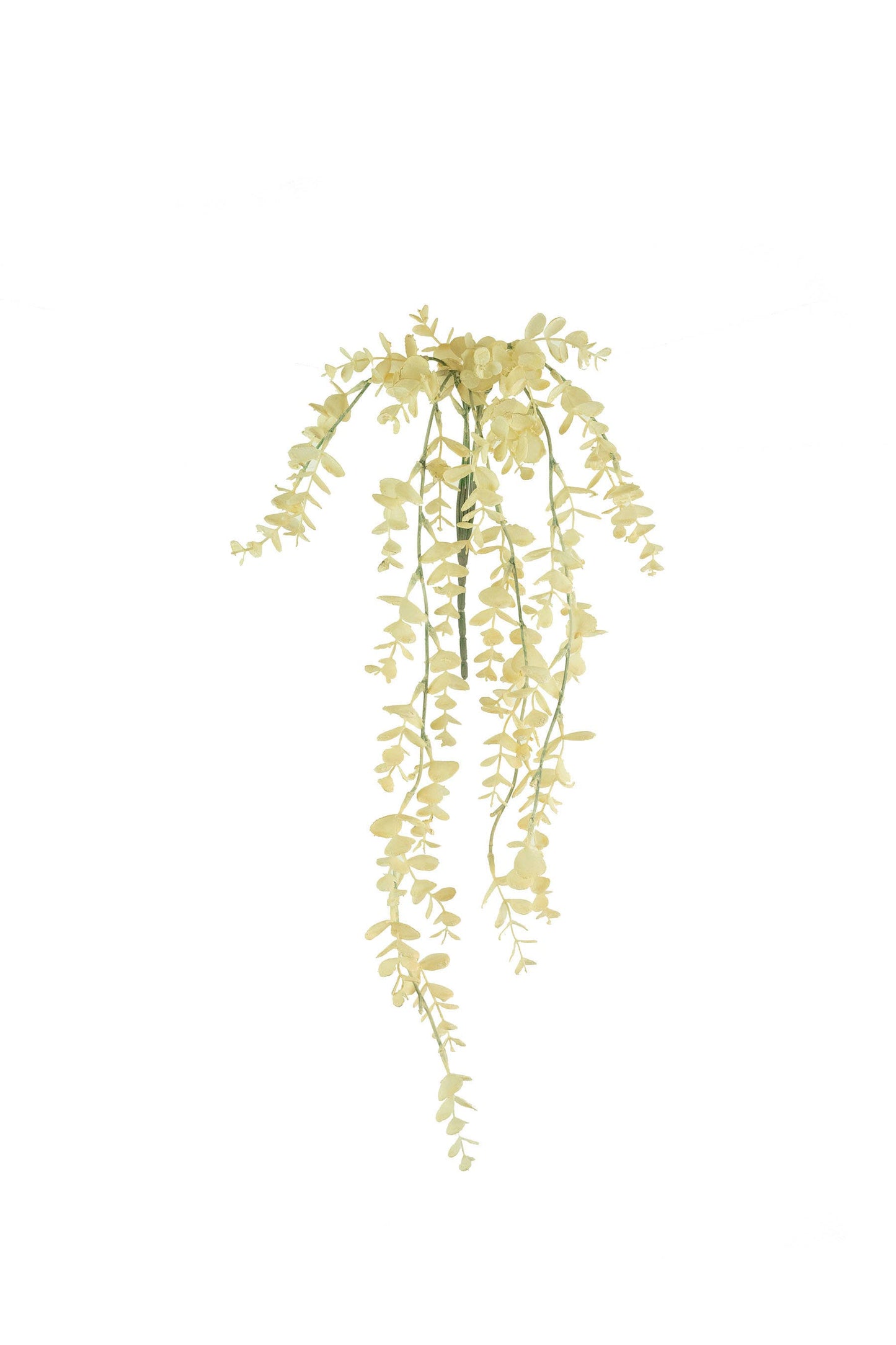 Eva Hanging Stems