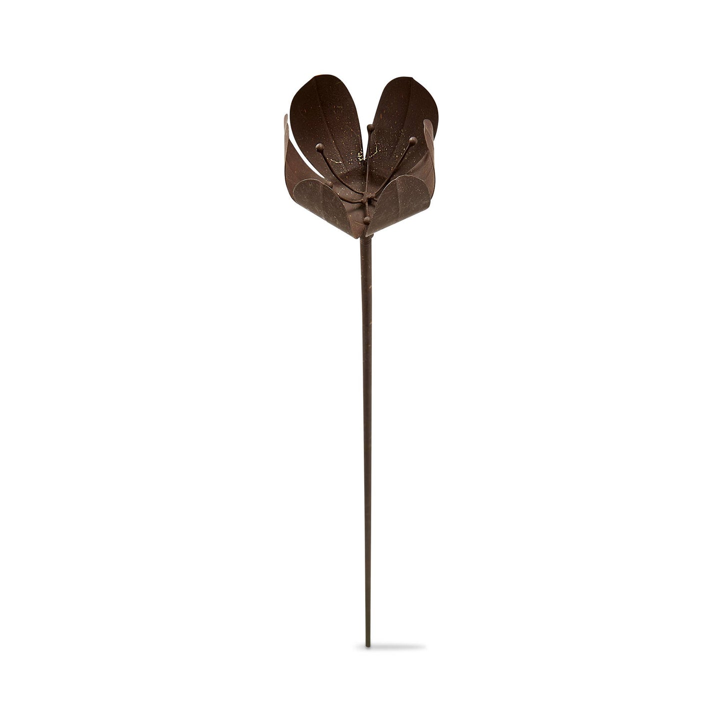 Rusty Tulip Stem