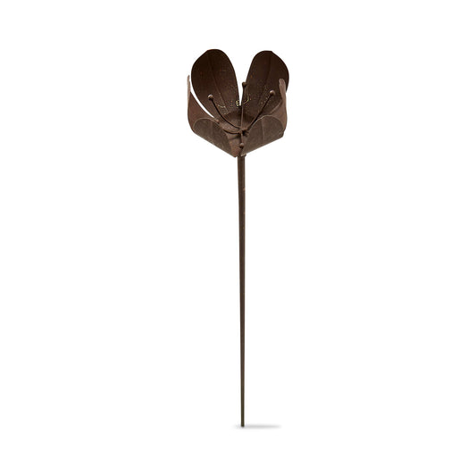 Rusty Tulip Stem