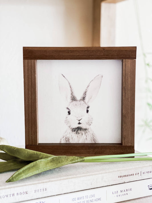 Watercolor Bunny