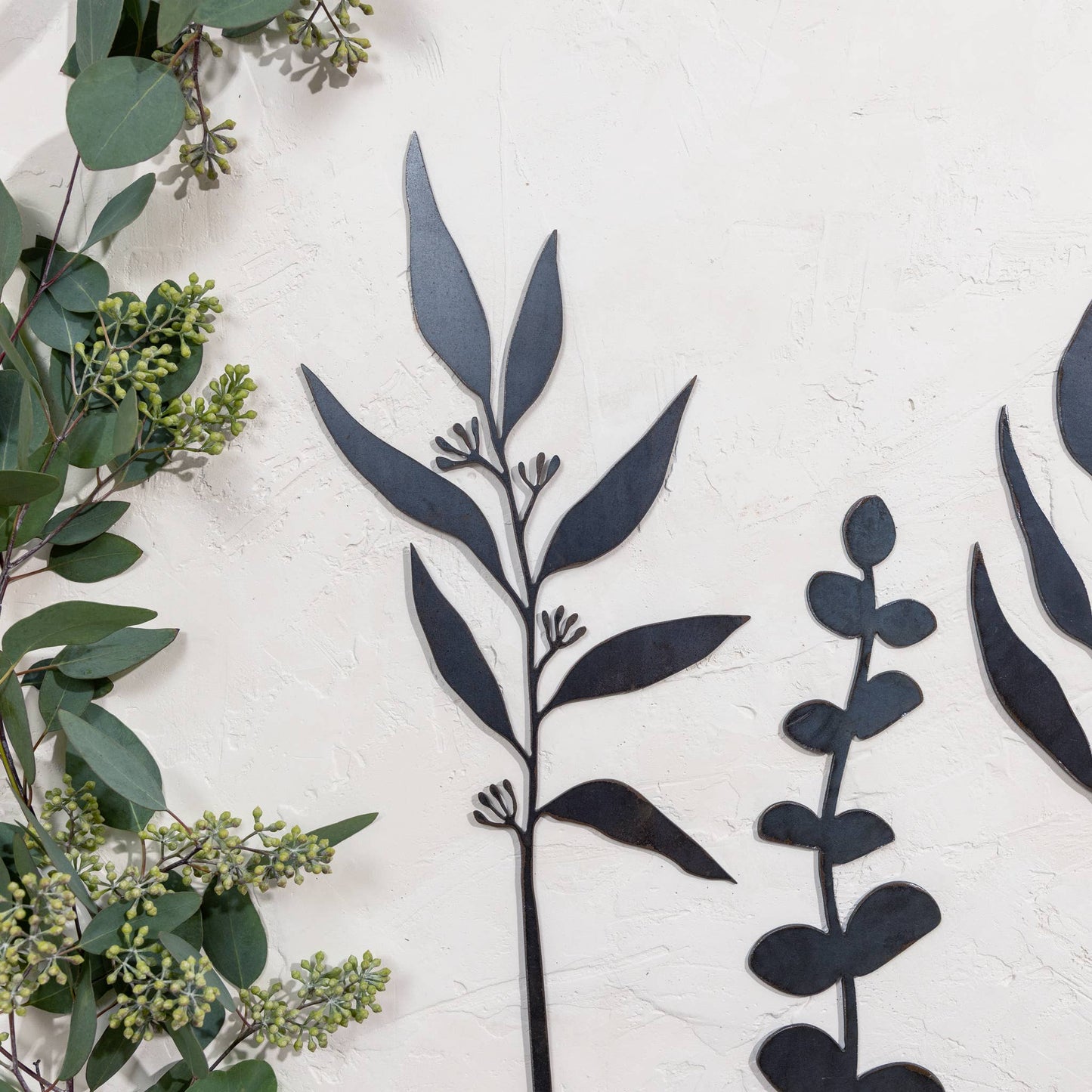 Raw Steel Eucalyptus Stems