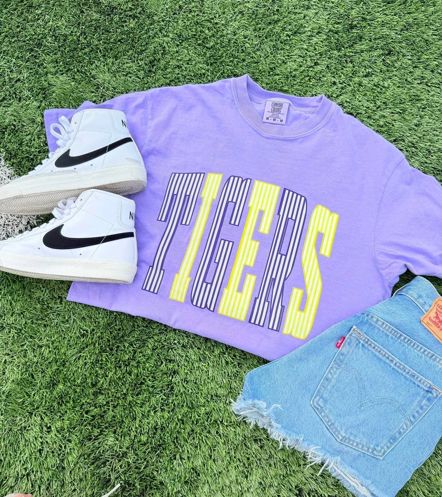 Panthers Stripe Team Spirit Tee
