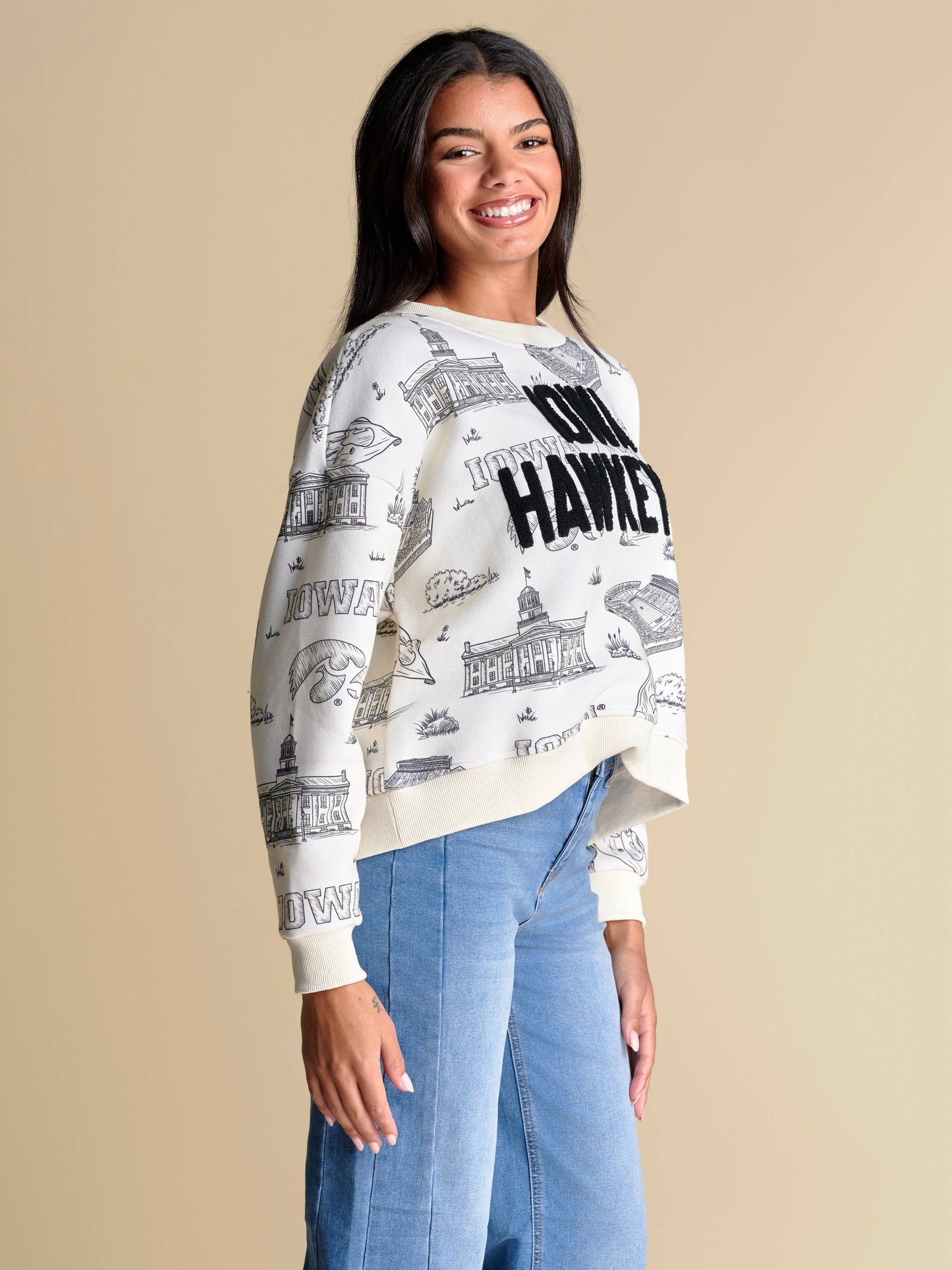 The Team Toile Pullover | Iowa