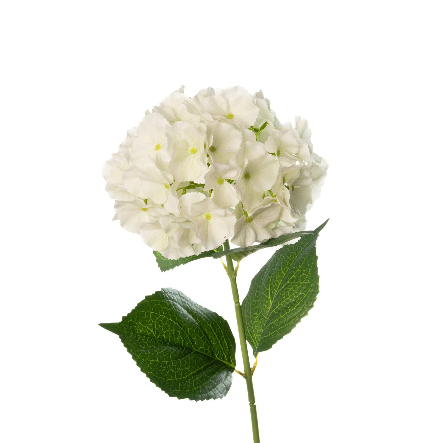 Real Touch Hydrangea - 29 Inch - Fresh White